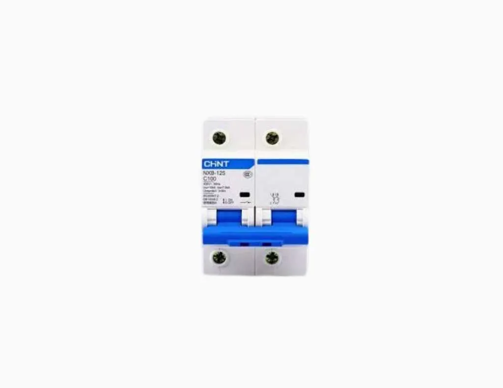 Chint MCCB NXB-125 2P C100 -816133
