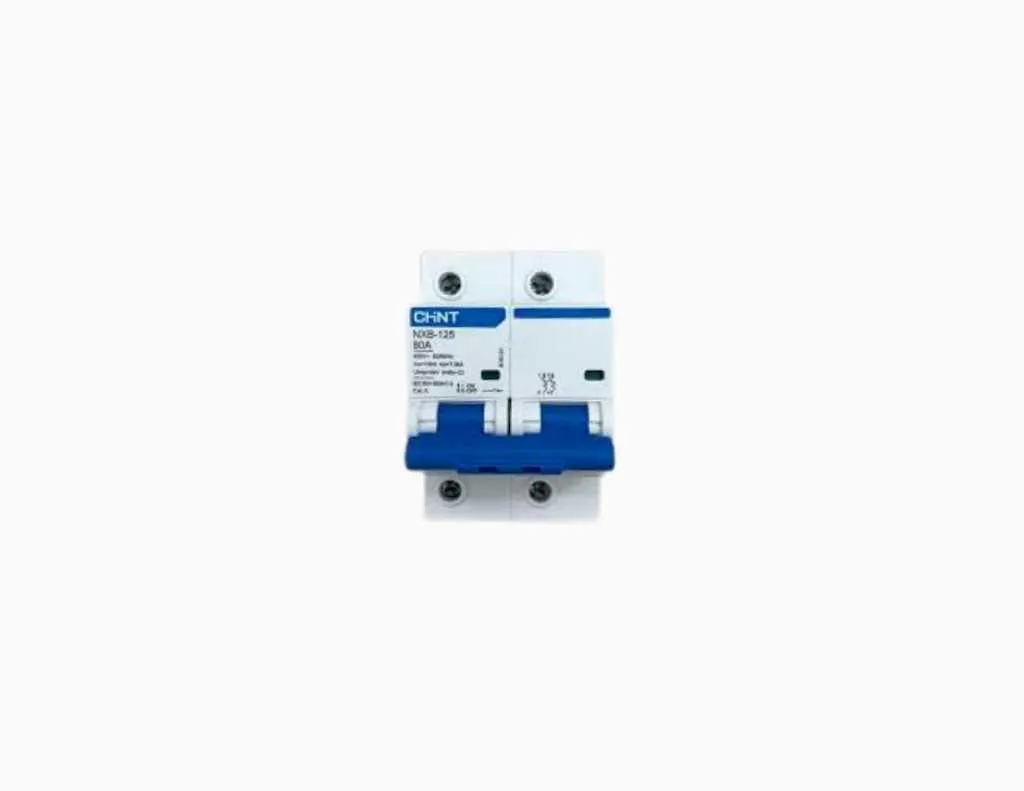 Chint MCCB NXB-125 2P C80 -816131