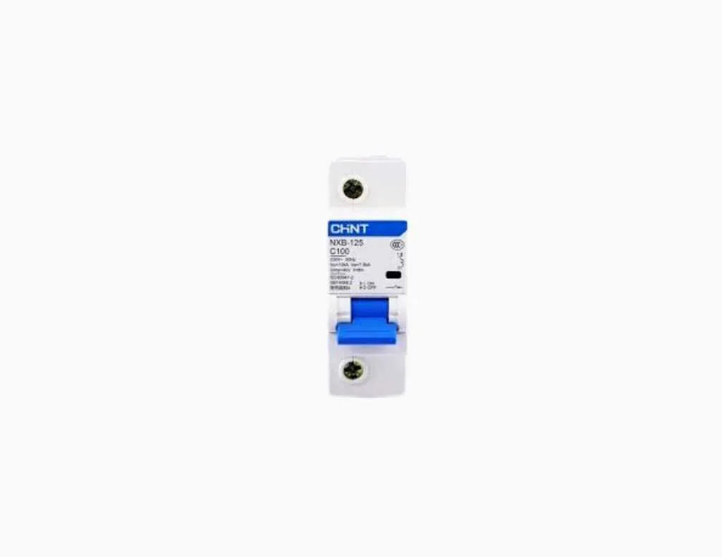 Chint MCCB NXB-125 1P C100 -816125