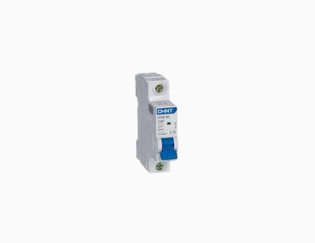 Chint MCCB NXB-125 1P C80 -816123