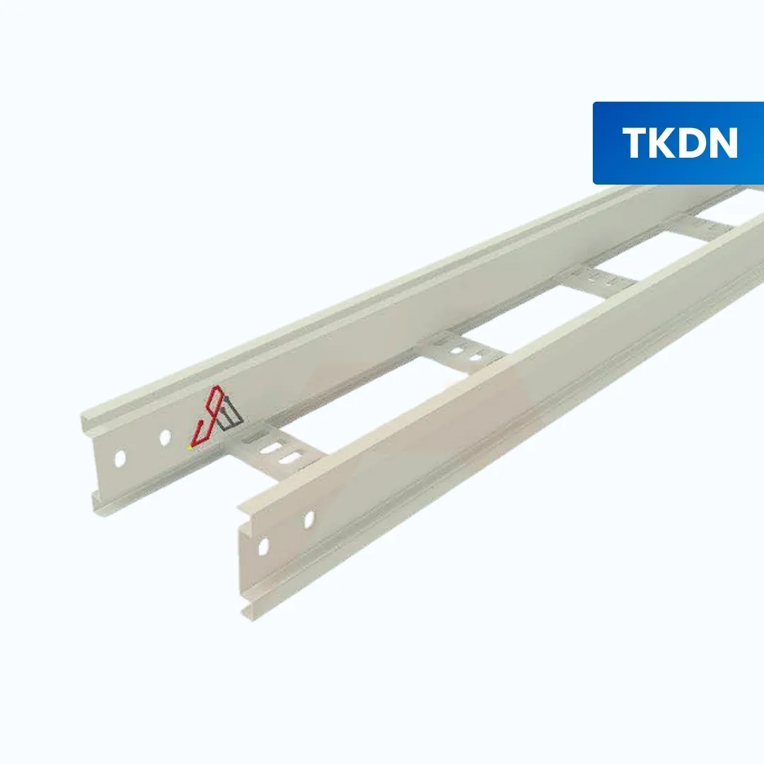 Straight Ladder W-H 100 X W 400 Length 3000 mm Thickness 1,5mm